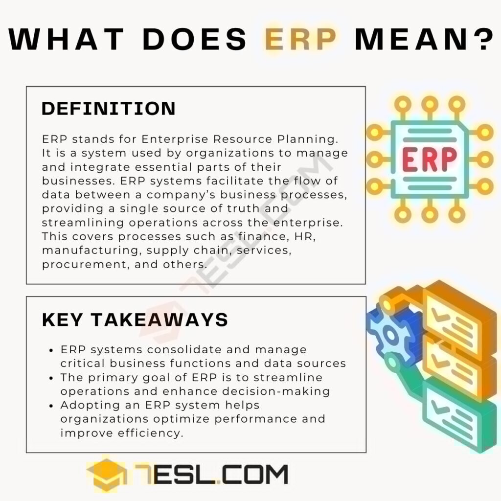 Erp Professional Services